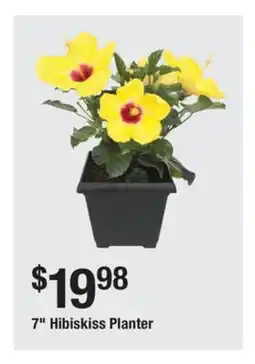 The Home Depot 7 Hibiskiss Planter offer