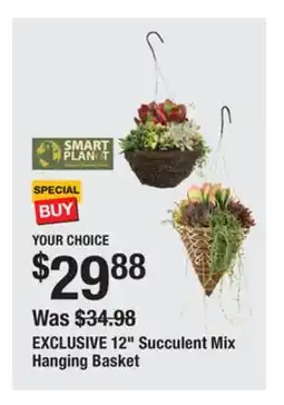 The Home Depot EXCLUSIVE 12 Succulent Mix Hanging Basket offer