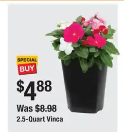 The Home Depot 2.5-Quart Vinca offer