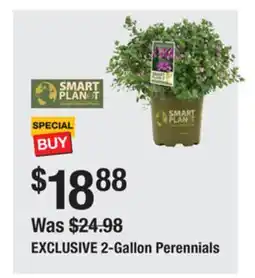 The Home Depot SMART PLANET EXCLUSIVE 2-Gallon Perennials offer