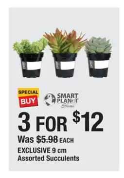 The Home Depot EXCLUSIVE 9 cm Assorted Succulents offer