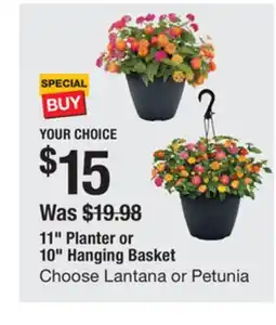 The Home Depot 11 Planter or 10 Hanging Basket offer