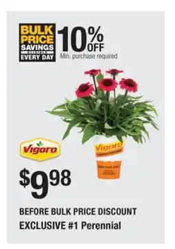 The Home Depot VIGORO #1 Perennial offer