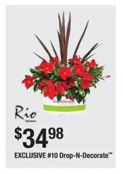 The Home Depot Rio #10 Drop-N-Decorate offer