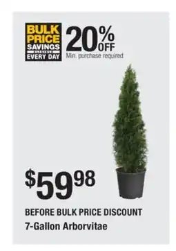 The Home Depot 7-Gallon Arborvitae offer