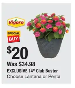 The Home Depot EXCLUSIVE 14 Club Buster offer