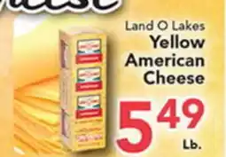 Eurofresh Market Land O Lakes Yellow American Cheese offer