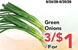 Eurofresh Market Green Onions offer