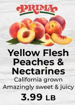 Sunset Foods Yellow Flesh Peaches & Nectarines offer