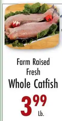 Garden Fresh Market Farm Raised Fresh Whole Catfish offer