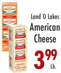 Garden Fresh Market Land O Lakes American Cheese offer