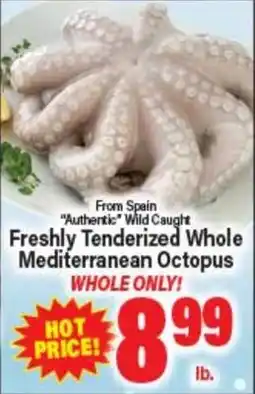 Angelo Caputo's Fresh Market From Spain Authentic Wild Caught Freshly Tenderized Whole Mediterranean Octopus offer