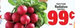 Angelo Caputo's Fresh Market Farm Fresh Radishes offer