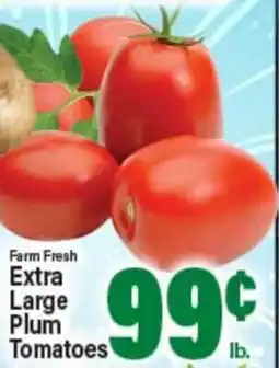 Angelo Caputo's Fresh Market Farm Fresh Extra Large Plum Tomatoes offer