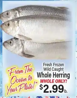 Angelo Caputo's Fresh Market Fresh Frozen Wild Caught Whole Herring offer
