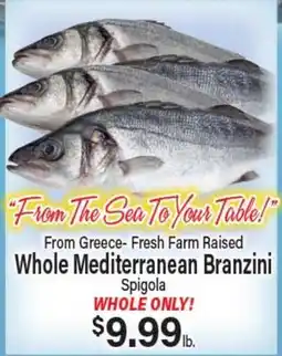 Angelo Caputo's Fresh Market From Greece-Fresh Farm Raised Whole Mediterranean Branzini offer