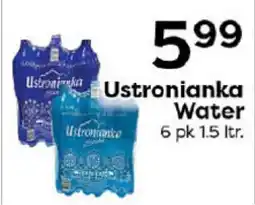 Rich's Fresh Market Ustronianka Water offer