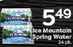 Rich's Fresh Market Ice Mountain Spring Water offer