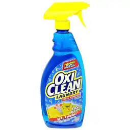 Walgreens Laundry Stain Remover offer