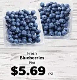 Living Fresh Market Fresh Blueberries offer