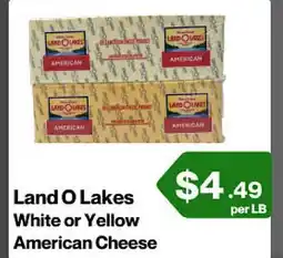 Market Place on Oakton Land O Lakes White or Yellow American Cheese offer