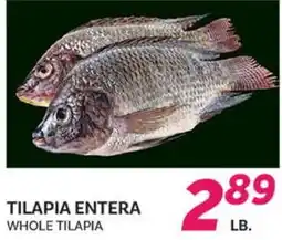 El Paso Grande WHOLE TILAPIA offer