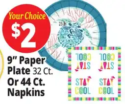Ocean State Job Lot 9 Paper Plate 32 Ct. 32 Ct. Or 44 Ct. Napkins offer