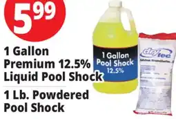 Ocean State Job Lot DryTec Powdered Pool Shock 1 lb offer