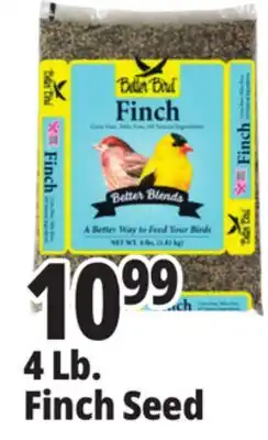 Ocean State Job Lot Better Bird Finch Bird Food 4 lbs offer