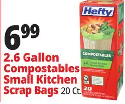 Ocean State Job Lot Hefty Compostable Small Kitchen Scrap Bags 20 Count offer