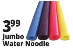 Ocean State Job Lot 55 Jumbo Pool Noodle offer