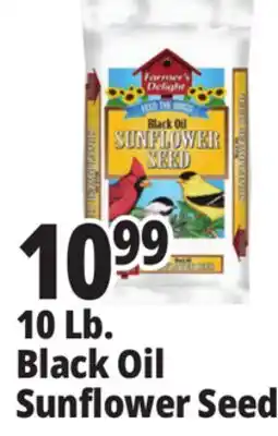 Ocean State Job Lot 10 Lb. Black Oil Sunflower Seed offer