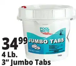 Ocean State Job Lot Pool Mate 3 Jumbo Chlorine Tabs 4 lbs offer