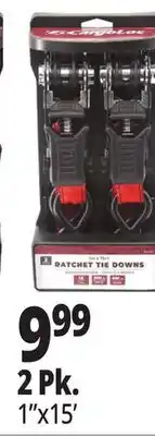 Ocean State Job Lot 2 Pk. Tie Downs offer