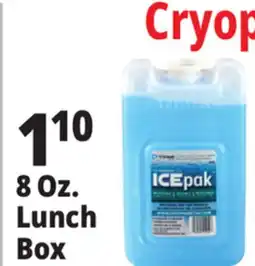 Ocean State Job Lot Cryopak Ice Pack Lunch Size offer