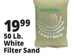 Ocean State Job Lot Mystic White Pool Filter Sand 50 lbs offer