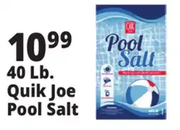 Ocean State Job Lot Pool Salt 40 lbs offer