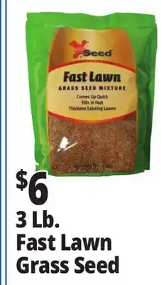 Ocean State Job Lot X-Seed Fast Lawn Grass Seed Mixture 3 lbs offer