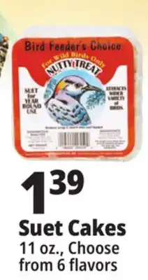 Ocean State Job Lot Bird Feeder's Choice High Energy Suet 11 oz offer