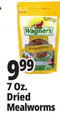 Ocean State Job Lot Wagner's Bird Meal Worms 7oz offer