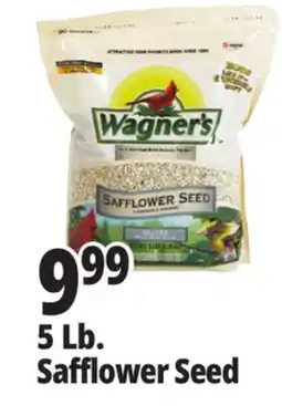Ocean State Job Lot Wagner's Safflower Seed Deluxe Wild Bird Food offer