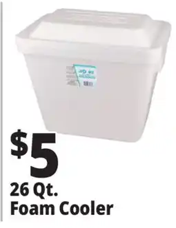 Ocean State Job Lot 26 Qt. Foam Cooler offer