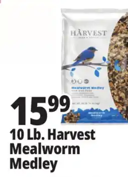 Ocean State Job Lot Harvest Seed & Supply Mealworm Medley Wild Bird Food 10 lb offer