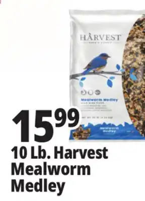Ocean State Job Lot Harvest Seed & Supply Mealworm Medley Wild Bird Food 10 lb offer