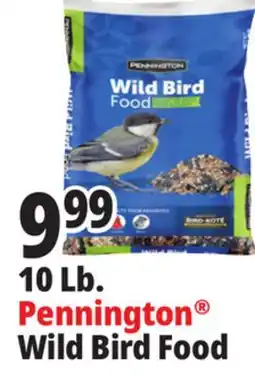 Ocean State Job Lot Pennington Wild Bird Food 10 lbs offer