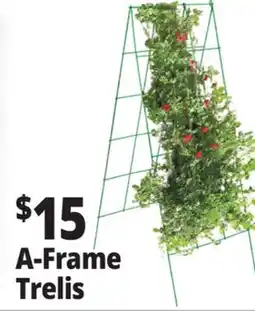 Ocean State Job Lot A-Frame Trellis Green 46 x 18 offer