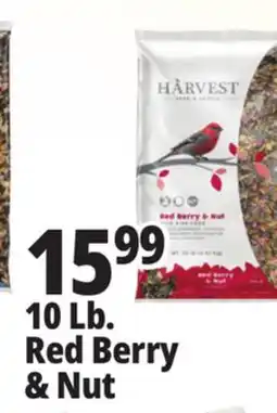 Ocean State Job Lot Harvest Seed & Supply Red Berry & Nut Wild Bird Food 10 lb offer