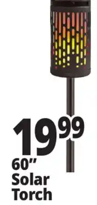 Ocean State Job Lot 60 Solar Torch offer