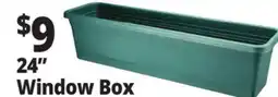 Ocean State Job Lot 24 Window Box offer