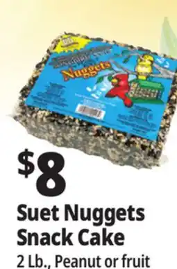 Ocean State Job Lot Suet Nuggets Snack Cake offer